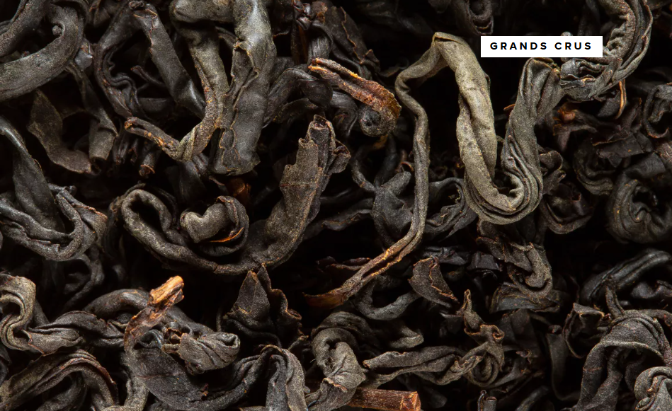 thé fumé sakura souchong grand cru japon