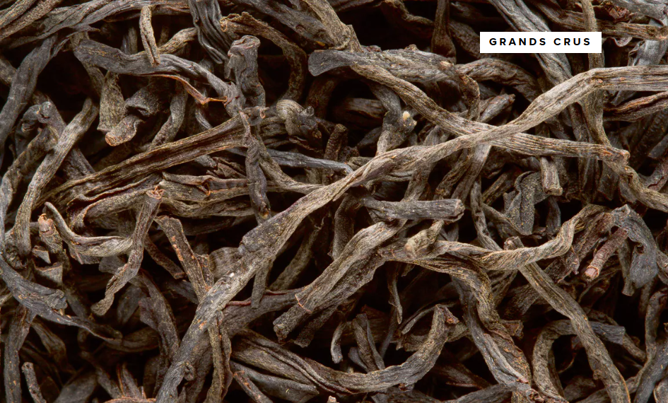 Ceylan O.P. Cecilyan (Grand cru)