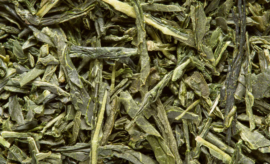 Gyokuro “Perle de rosée”