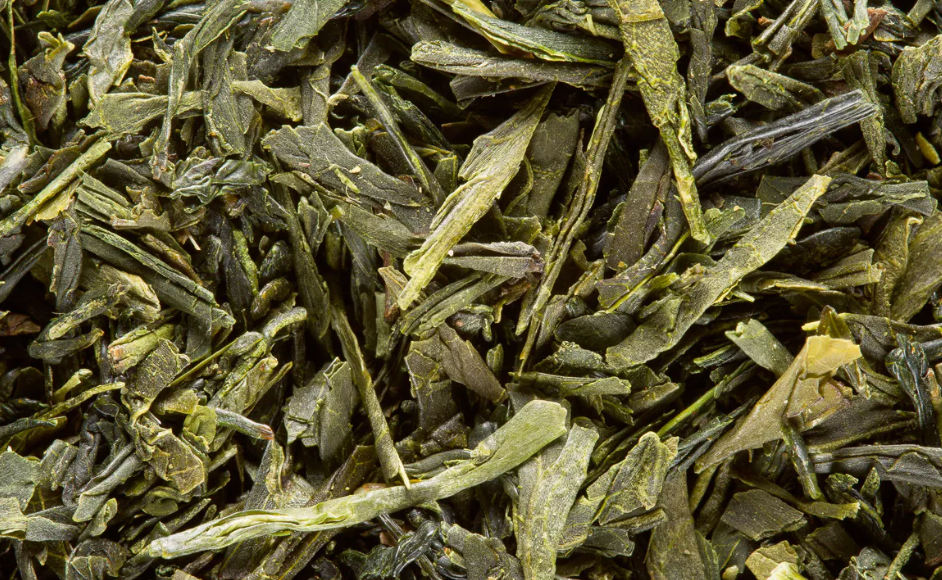 Sencha Fukuyu