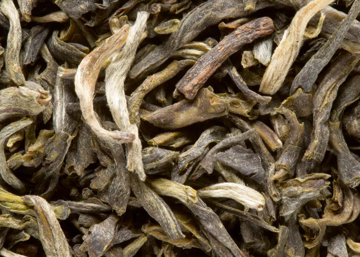 Yunnan Vert
