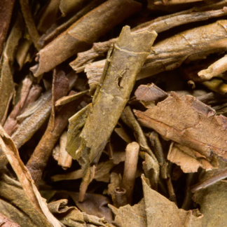 Houjicha