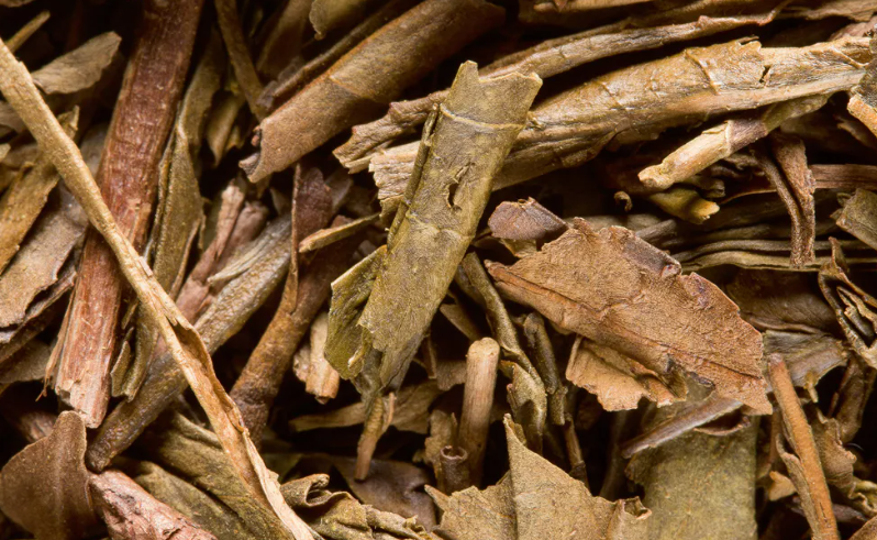 Houjicha