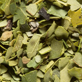 Maté Vert