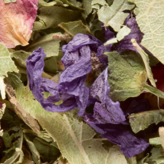 Tisane des Merveilles