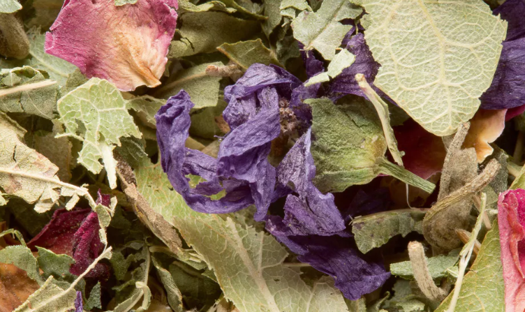 Tisane des Merveilles