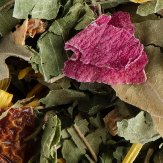Tisane Nuit à Versailles