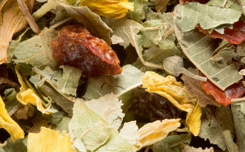 Tisane de la Reyne
