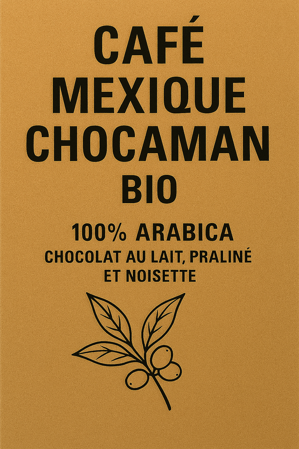 Mexique Chocaman BIO