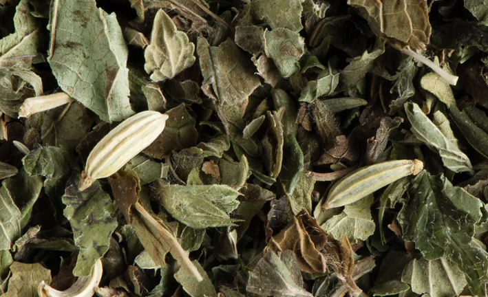 Menthe fenouil